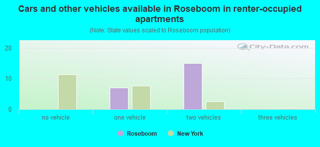 Cars and other vehicles available in Roseboom in renter-occupied apartments