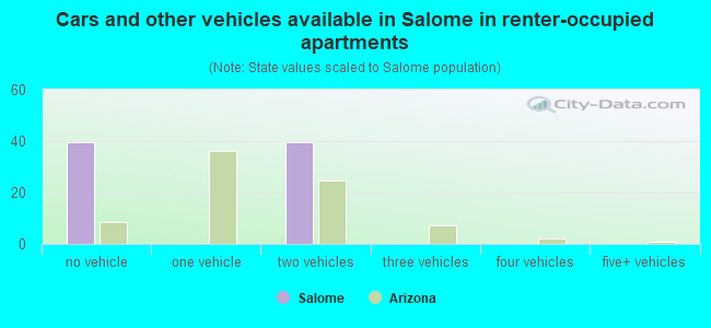 Cars and other vehicles available in Salome in renter-occupied apartments