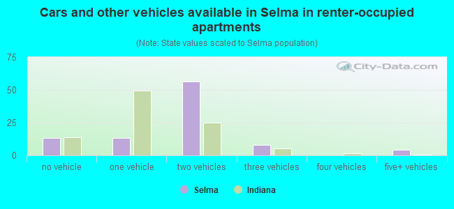 Cars and other vehicles available in Selma in renter-occupied apartments