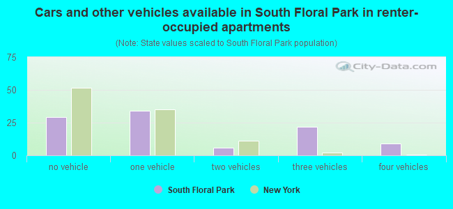 Cars and other vehicles available in South Floral Park in renter-occupied apartments