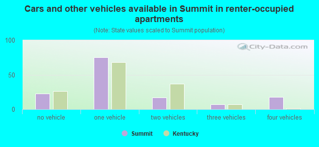 Cars and other vehicles available in Summit in renter-occupied apartments