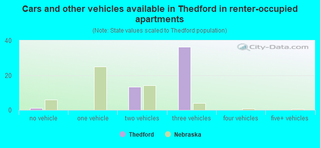 Cars and other vehicles available in Thedford in renter-occupied apartments