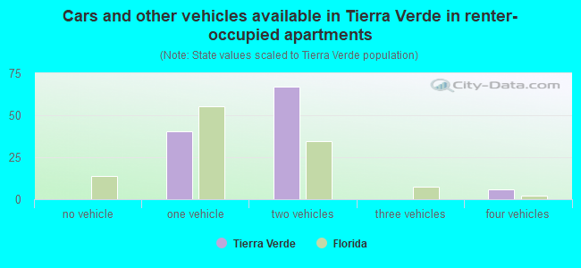 Cars and other vehicles available in Tierra Verde in renter-occupied apartments