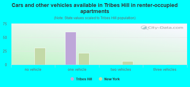 Cars and other vehicles available in Tribes Hill in renter-occupied apartments