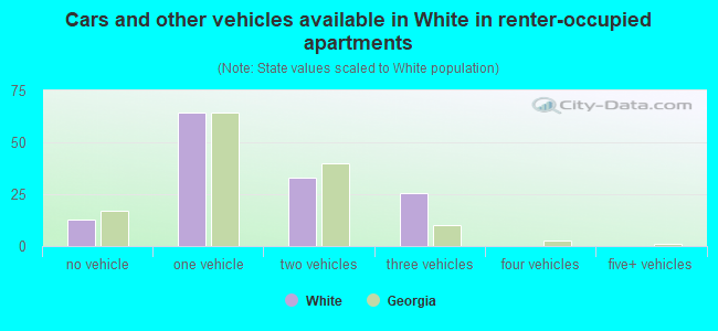 Cars and other vehicles available in White in renter-occupied apartments