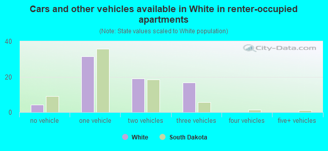 Cars and other vehicles available in White in renter-occupied apartments