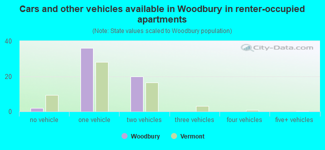 Cars and other vehicles available in Woodbury in renter-occupied apartments