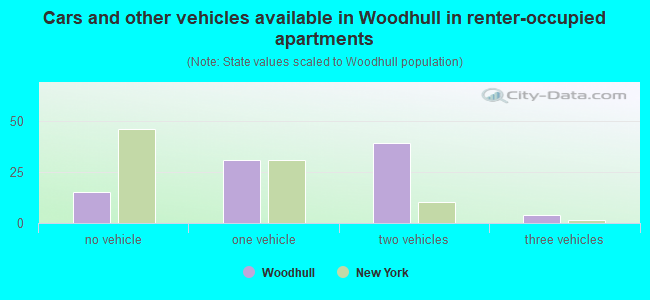 Cars and other vehicles available in Woodhull in renter-occupied apartments
