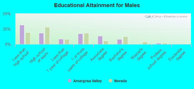 Educational Attainment for Males