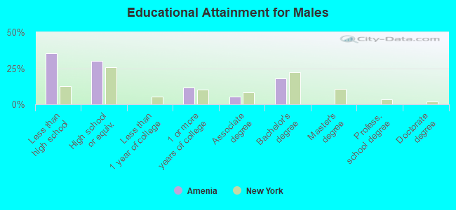 Educational Attainment for Males