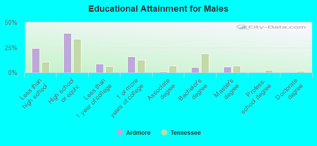 Educational Attainment for Males