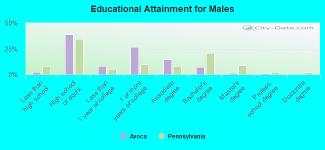 Educational Attainment for Males