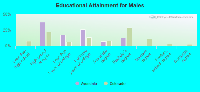 Educational Attainment for Males