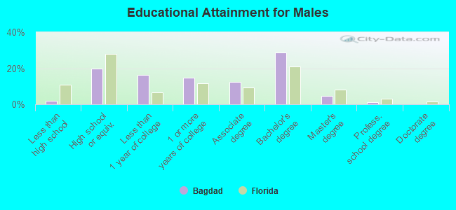 Educational Attainment for Males