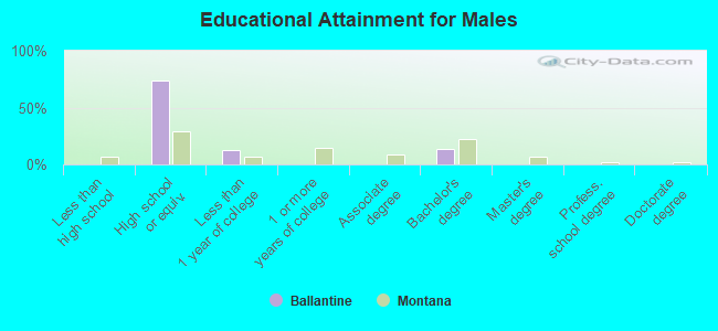 Educational Attainment for Males