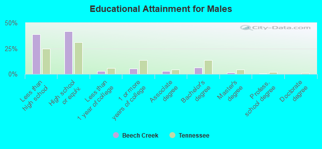 Educational Attainment for Males