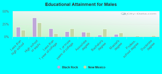 Educational Attainment for Males