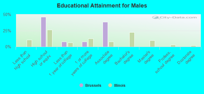 Educational Attainment for Males