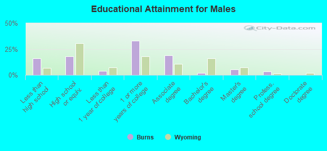 Educational Attainment for Males