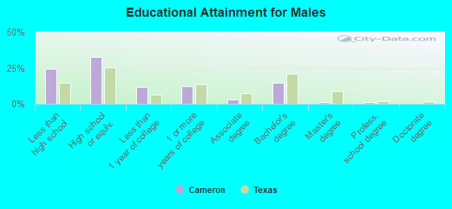 Educational Attainment for Males