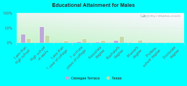 Educational Attainment for Males