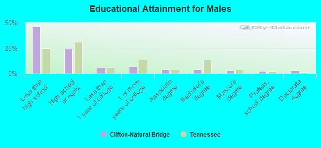 Educational Attainment for Males