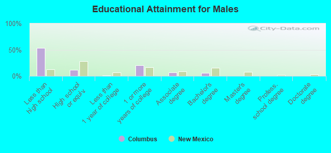 Educational Attainment for Males