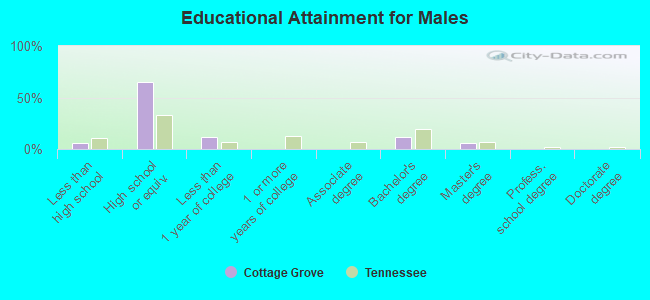 Educational Attainment for Males