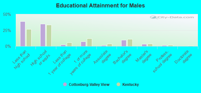 Educational Attainment for Males