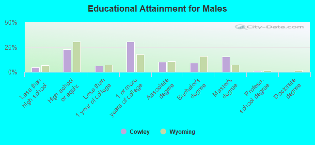 Educational Attainment for Males