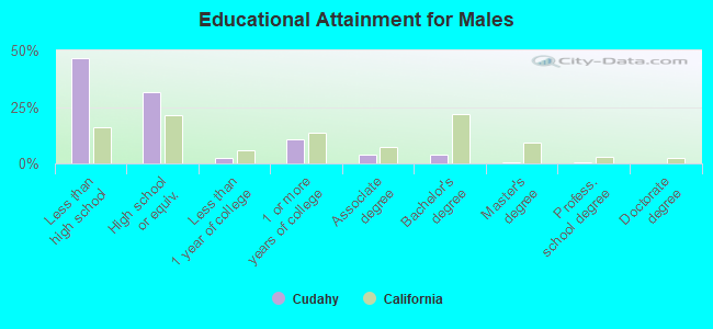 Educational Attainment for Males