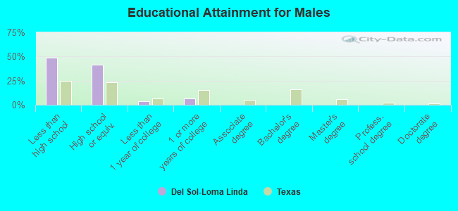 Educational Attainment for Males