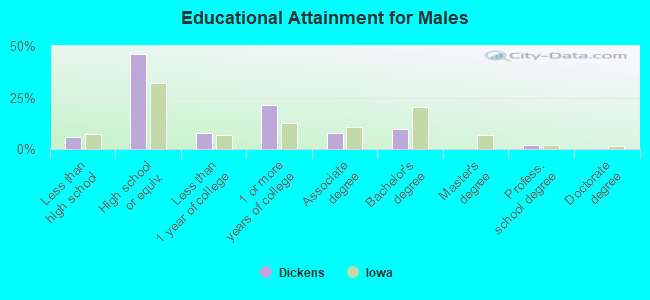 Educational Attainment for Males