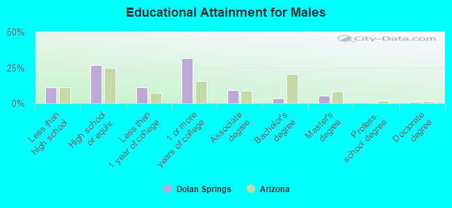 Educational Attainment for Males