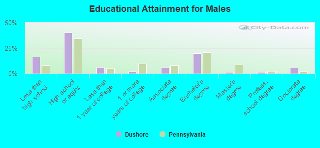 Educational Attainment for Males