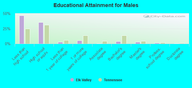 Educational Attainment for Males