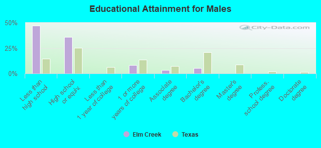 Educational Attainment for Males