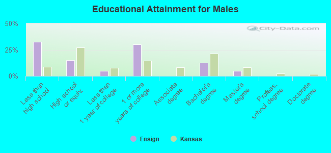 Educational Attainment for Males