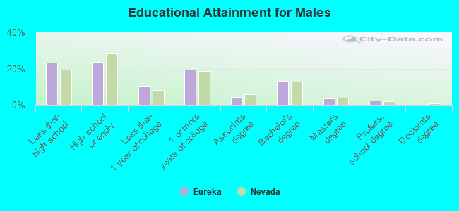 Educational Attainment for Males