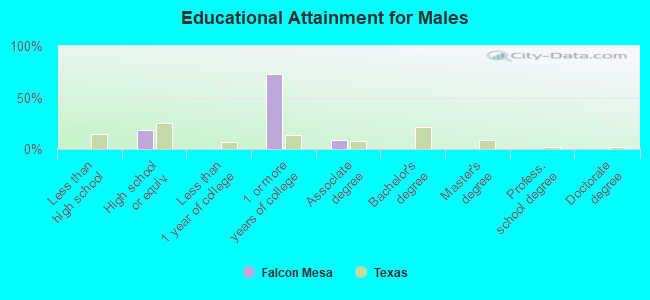 Educational Attainment for Males