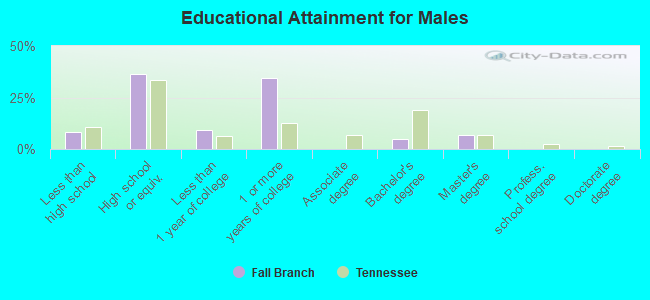 Educational Attainment for Males