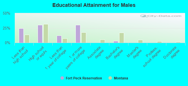 Educational Attainment for Males