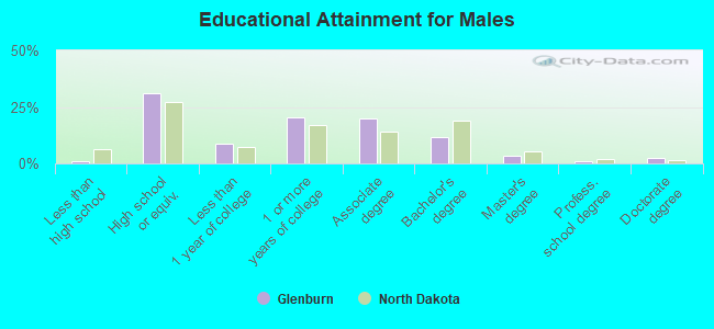 Educational Attainment for Males