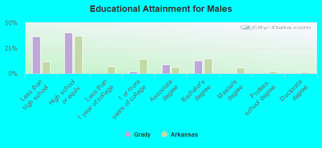 Educational Attainment for Males