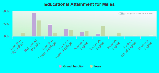 Educational Attainment for Males