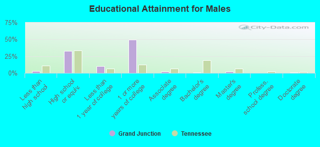 Educational Attainment for Males