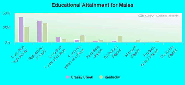 Educational Attainment for Males