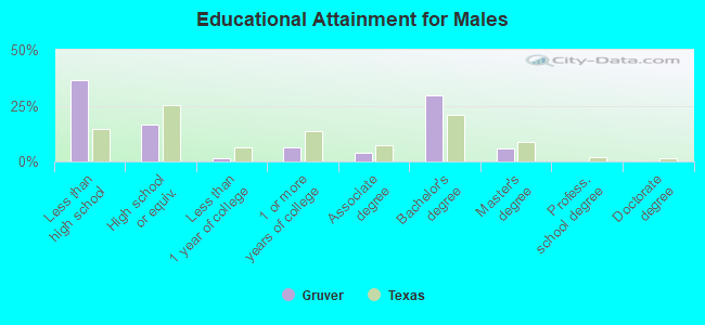 Educational Attainment for Males