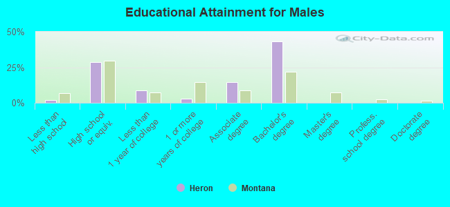 Educational Attainment for Males