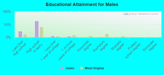 Educational Attainment for Males